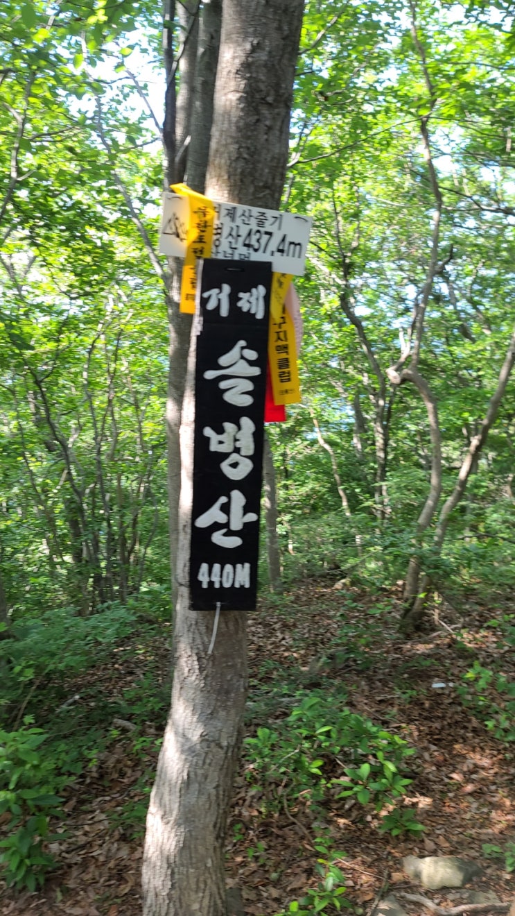  거제 솔병산 등산코스 시간 거리 앵산바로 옆에 산