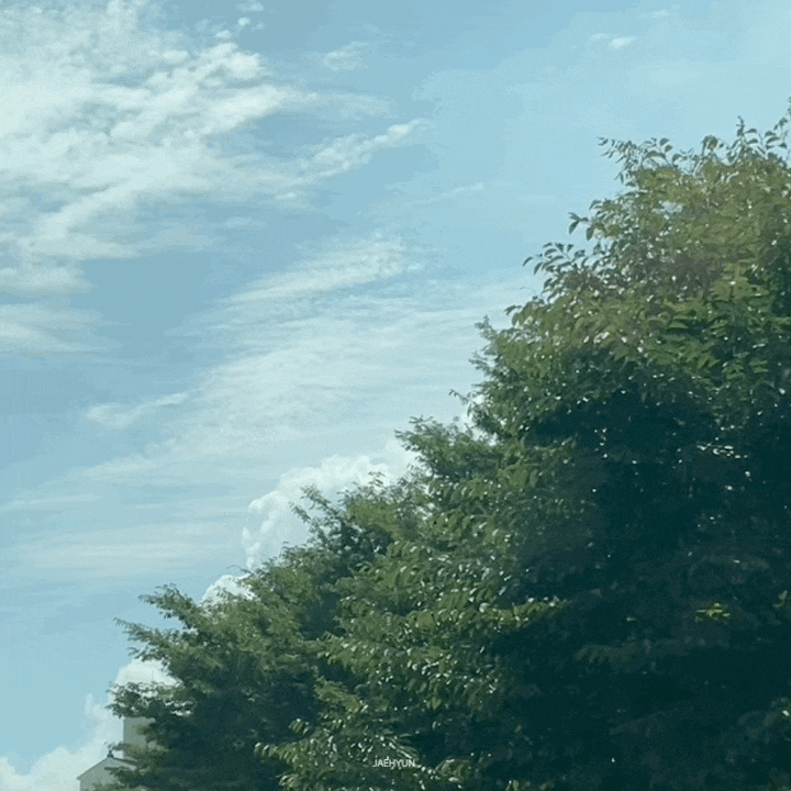  Weekly Diary June #4
