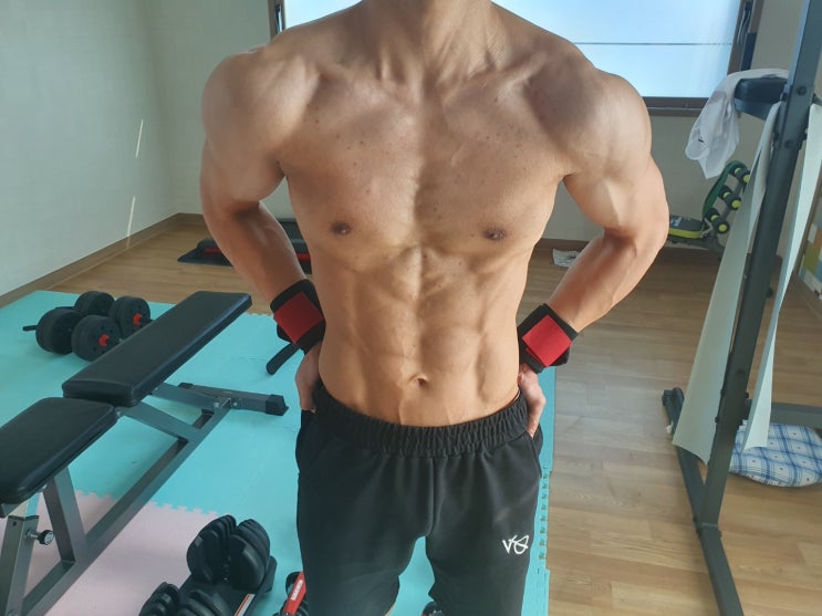  헬린이의 벌크업과 다이어트 후 바디프로필까지 실전팁(5편)