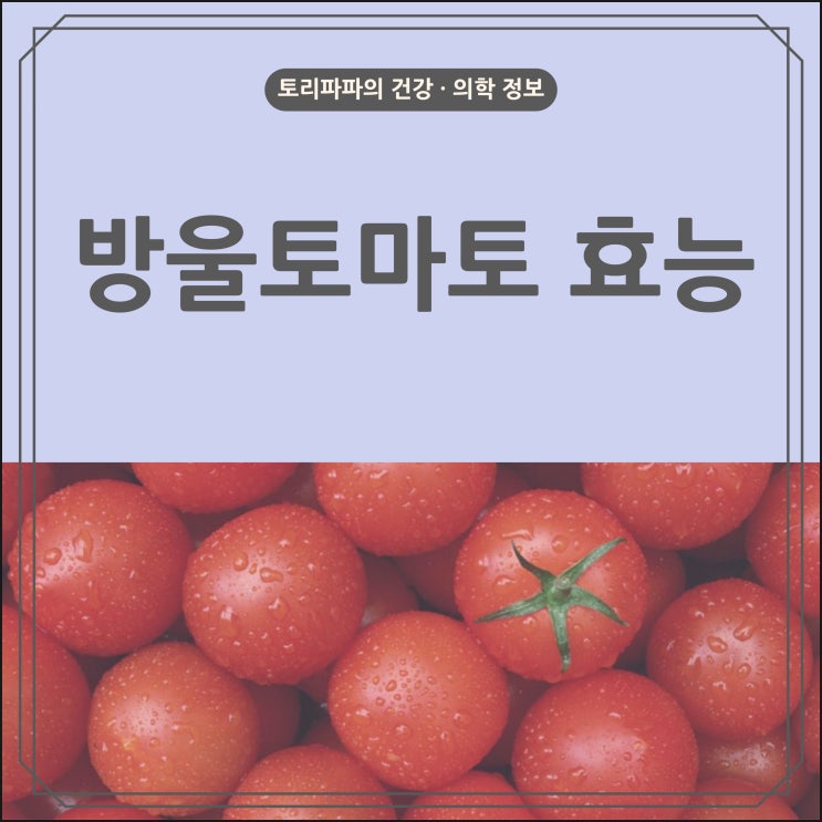  칼로리가 낮아 다이어트에 좋은 방울토마토 효능