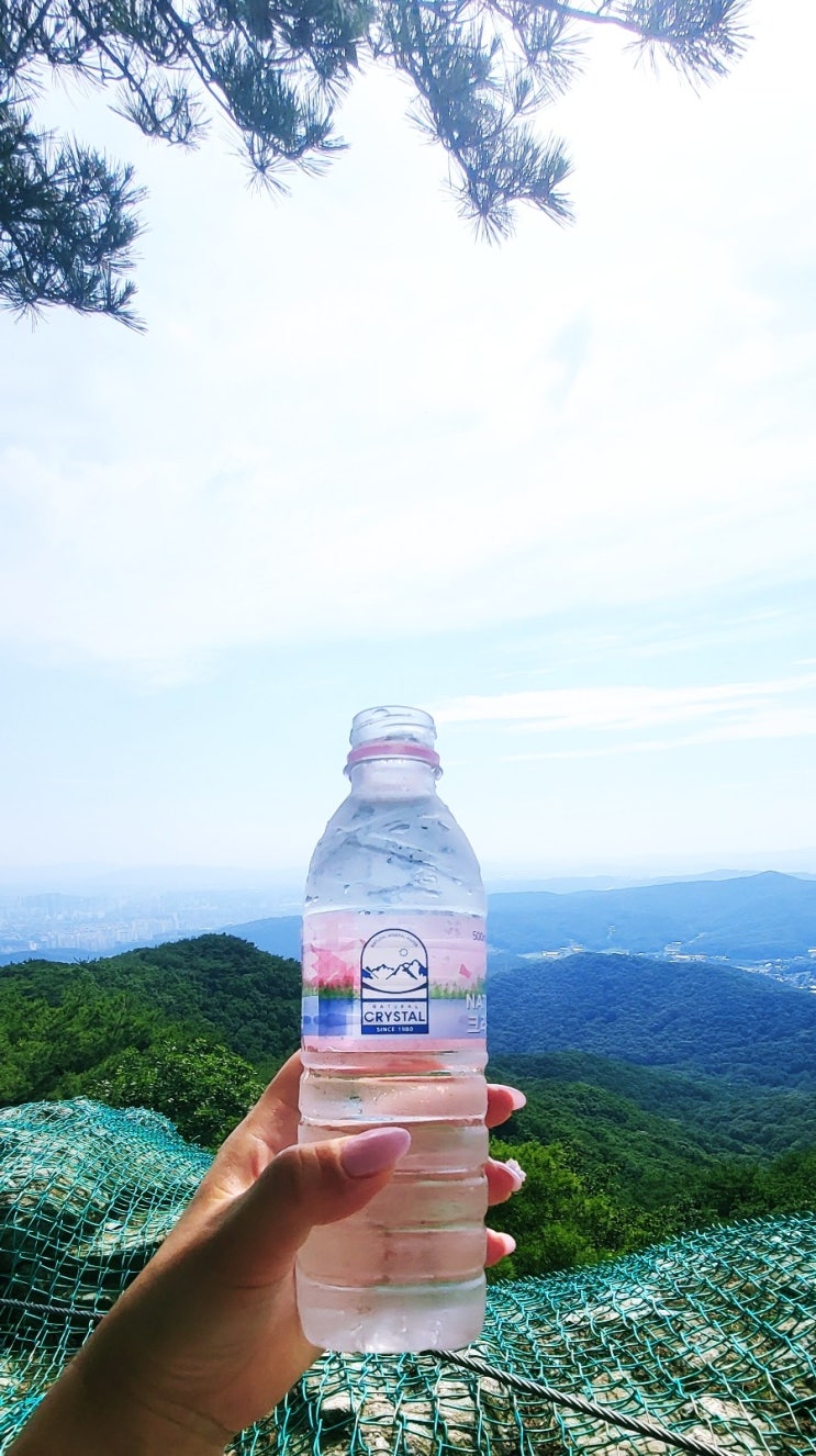  [주간일기 챌린지 6월 4주차] 오랫만에 광교산 형제봉까지 등산하고 왔어요