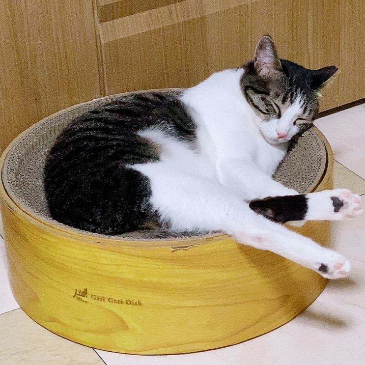  [블챌] 주간일기, 4주