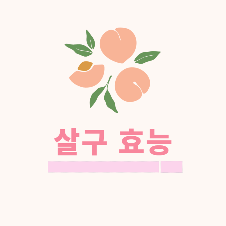 살구 효능 10가지 여름 제철 과일 살구 부작용 살구 효능 10가지 여름 제철 과일 살구 부작용