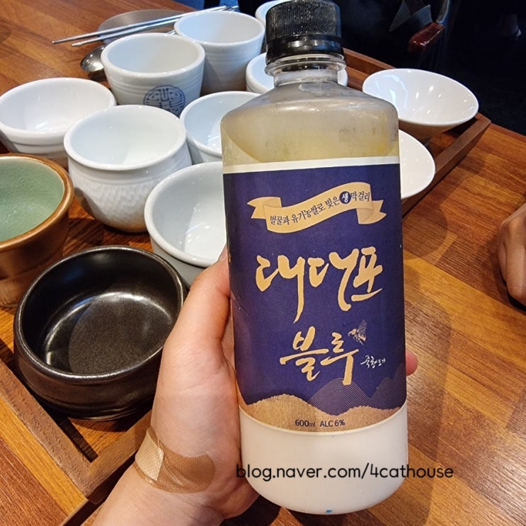  율전동 막걸리집"율전방앗간"찐후기(내돈내산)