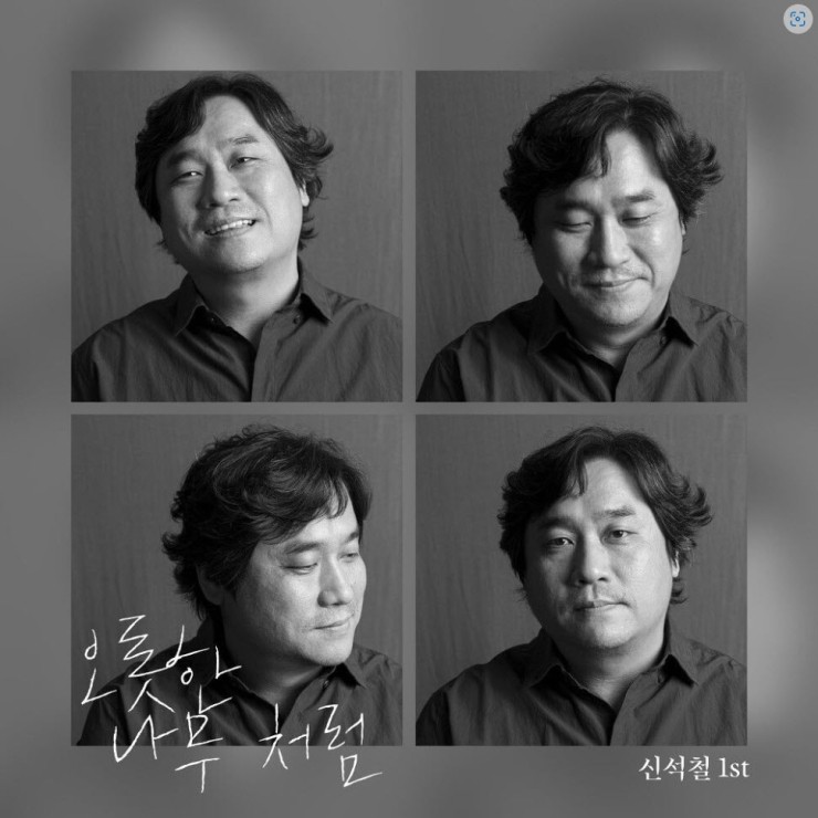 신석철 - 오롯한 나무처럼 [노래가사, 듣기, Audio]