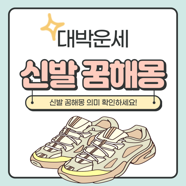  신발 잃어버리는 꿈 총정리