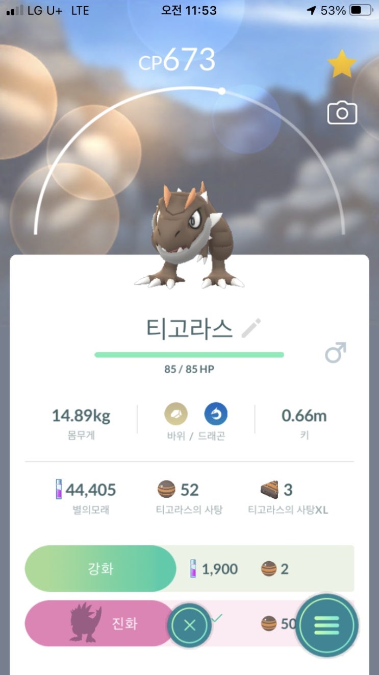  티고라스, 견고라스