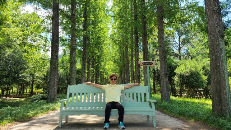  더운 여름철 시원한 나주 산림자원연구소 힐링하고 왔어요!