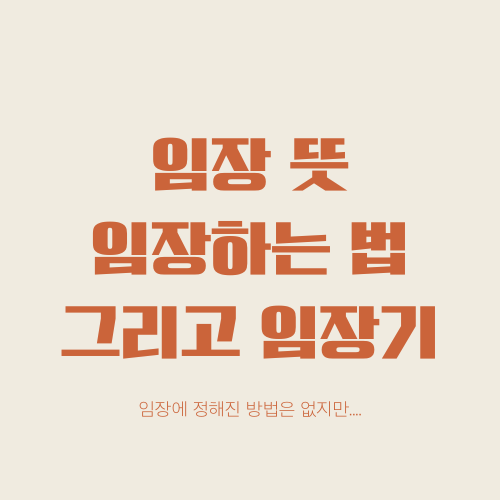  임장 뜻과 임장하는 법 그리고 저의 임장기들