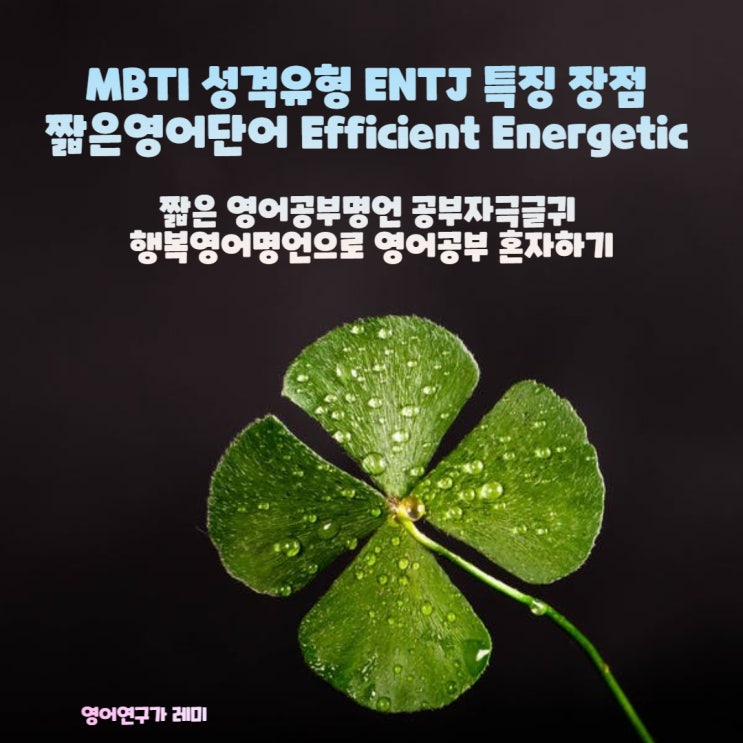 MBTI 성격유형 ENTJ 특징 장점 짧은영어단어 Efficient Energetic 영어좌우명 짧은 영어공부명언 공부자극글귀 행복영어명언으로 영어공부 혼자하기