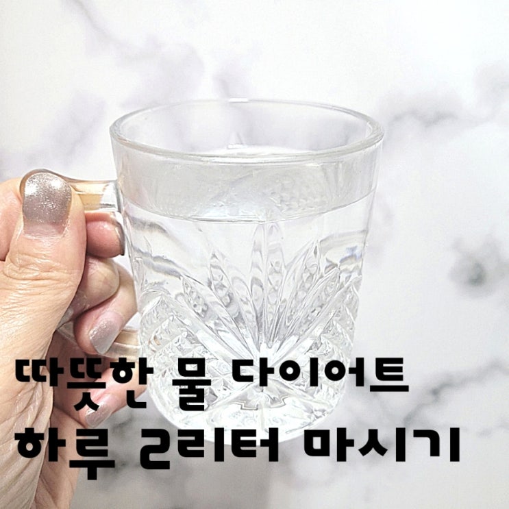  따뜻한 물 다이어트 하루 2리터 마시기