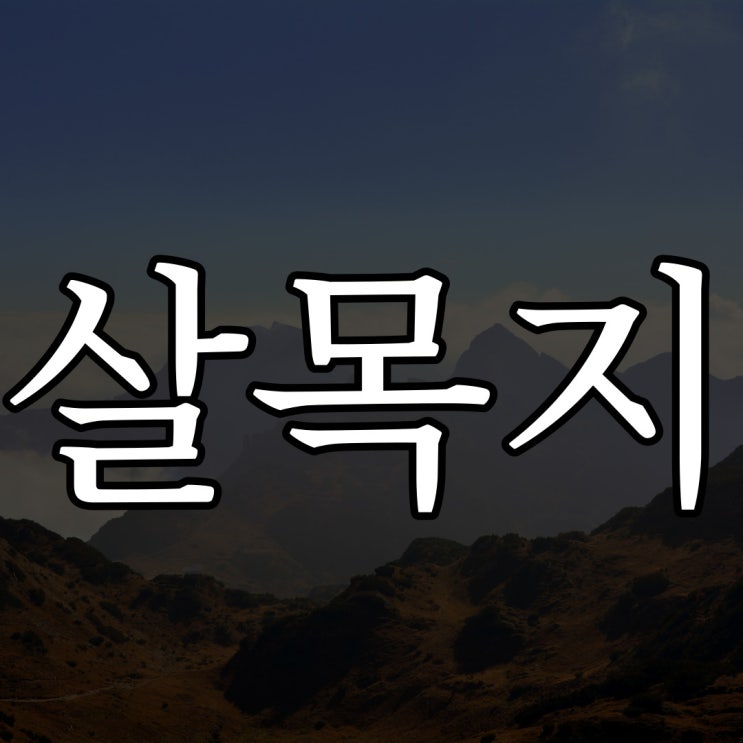  심야괴담회 살목지 / 레전드 공포 이야기