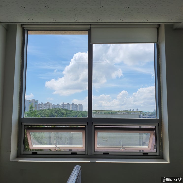  6/27-7/3 주간 일기