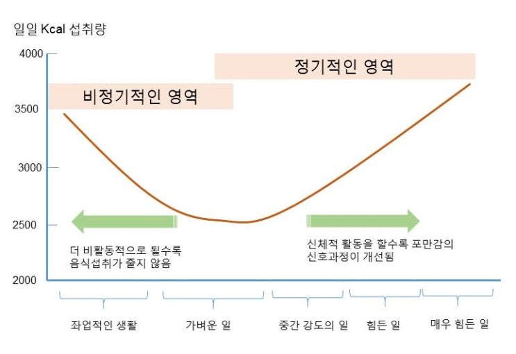  운동과 식욕조절호르몬, GLP-1(glucagon like peptide), 그렐린(ghrelin), 렙틴저항성, PYY