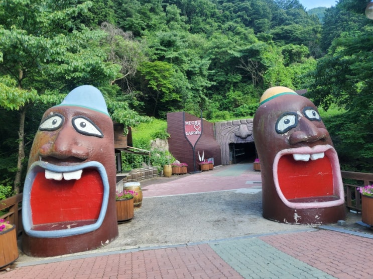  무주 머루와인동굴 시원한와인동굴,와인체험장소