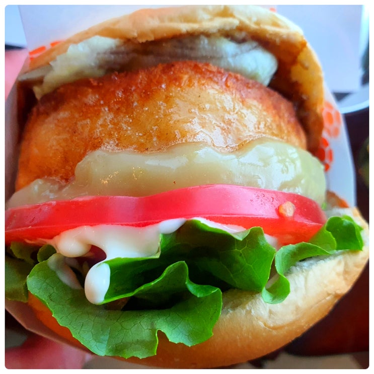  제주도 수제버거 한림읍 맛집 버거요 관자스테이크버거 이건 찐이지.