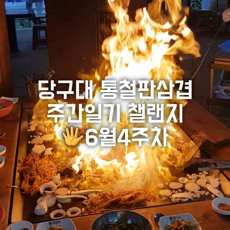 주간일기챌린지 6월4주차 주간일기챌린지 6월4주차