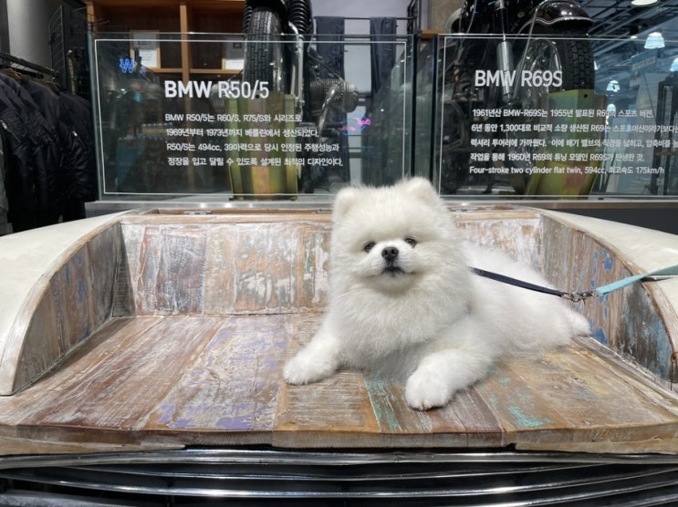  6월 넷째 주 주간일기