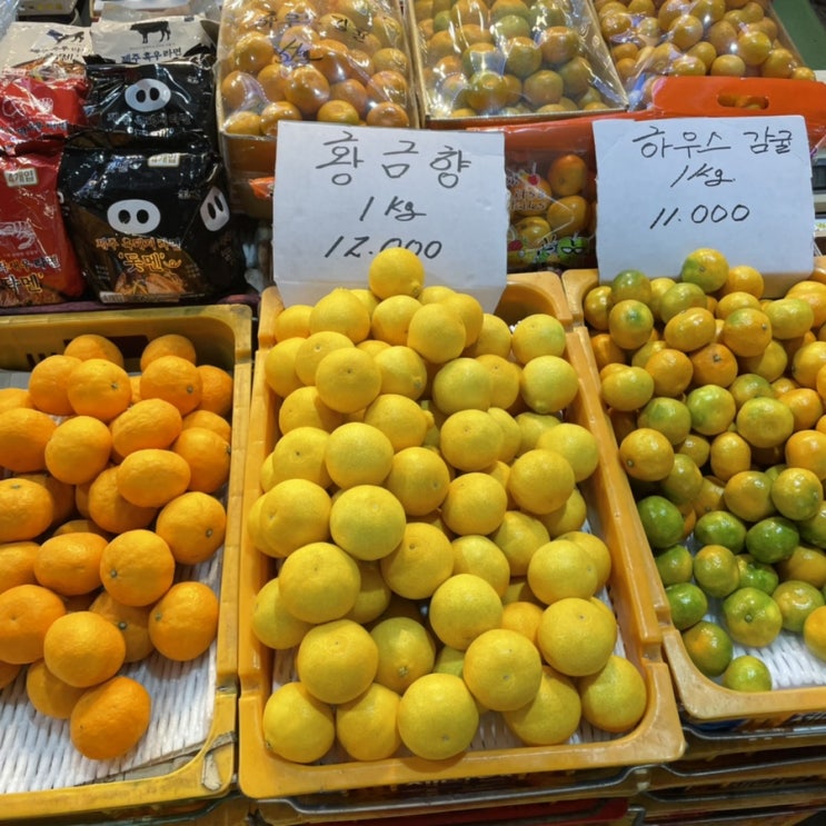  6월은 주말마다 가족여행 태백 , 제주도