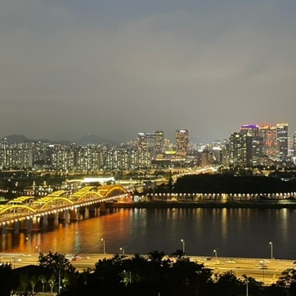  용양봉저정공원 야경 & 밤 산책
