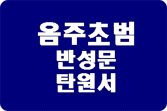 음주운전 초범 반성문 탄원서 제출 방법 및 사례