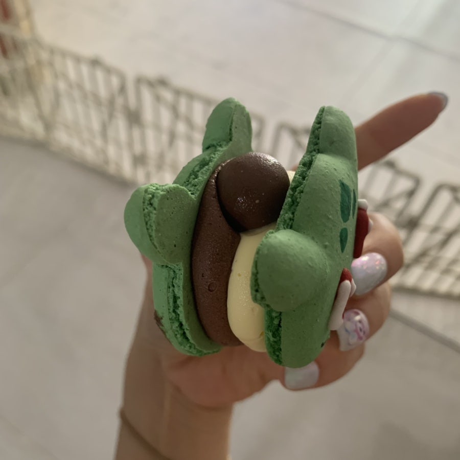 아멜리에 사진 6