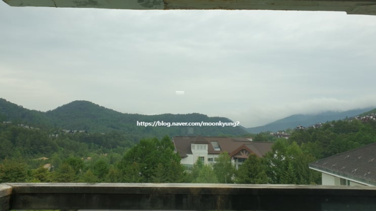  용평리조트 타워콘도 어디에 있지?