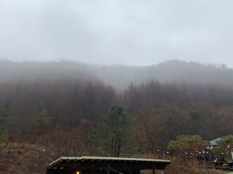  갔다 올게.
