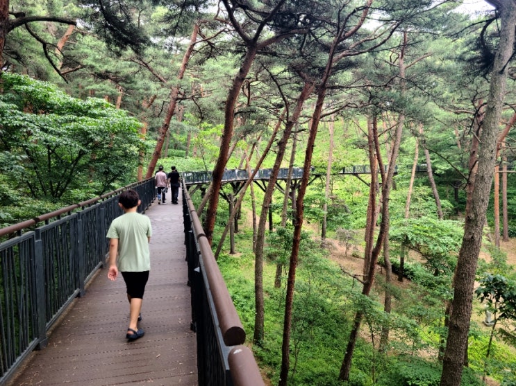  안면도자연휴양림 숲속의 집 행복3호 숙박 후기