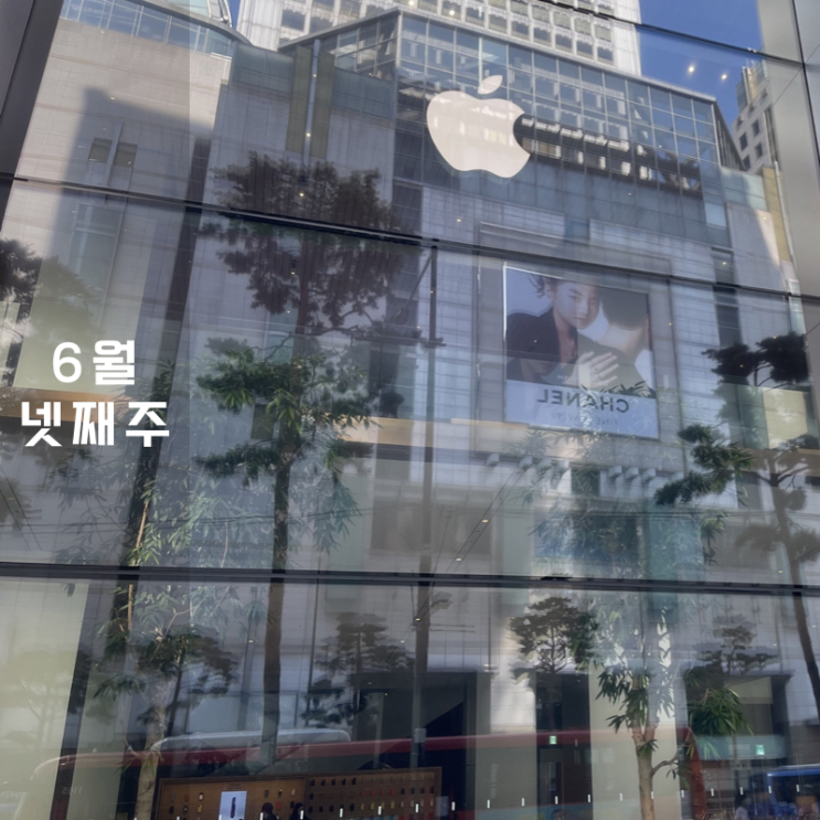  6월 넷째 주 주간일기 블로그 성장 , 짬뽕지존 , 애플스토어 명동까지
