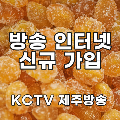  제주 케이블TV가입 혜택
