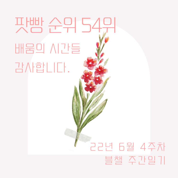  팟빵 카테고리 순위 54위/ 아이 바둑대회(블챌 6월 4주차)