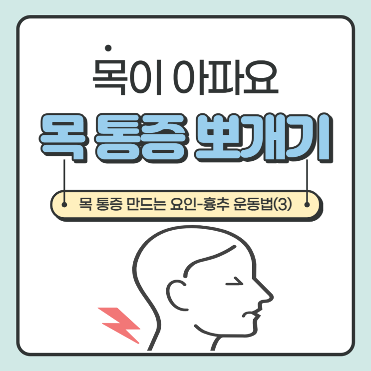  목 통증 원인 중 등(흉추) 운동을 해보자!!