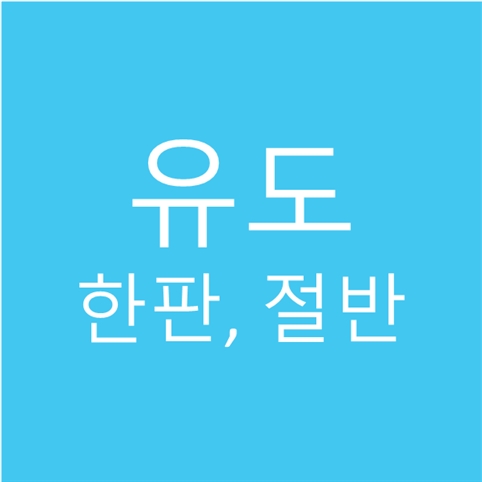 유도 한판 절반 쉽게 이해하기