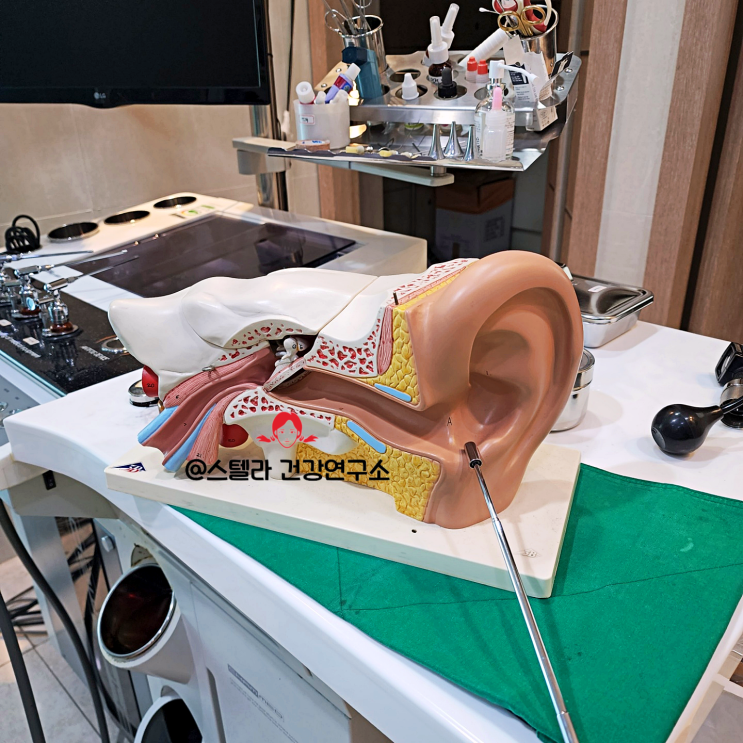  귀 뒤쪽 통증 원인 : 중이염 증상 알아보기
