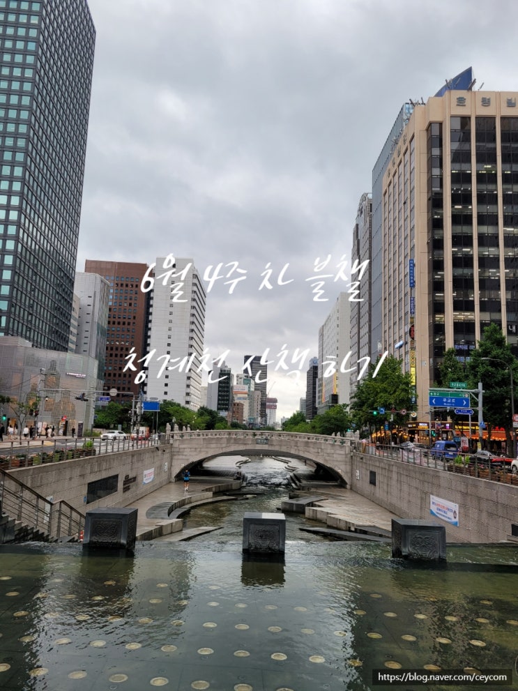  6월 4주 차 블챌 일기 상반기 마무리!! 청계천 폭포 코딩 배우기