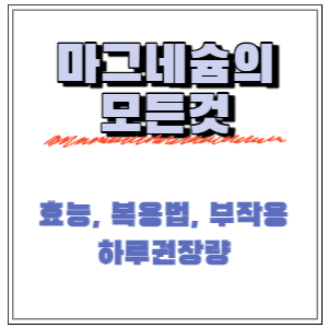 반드시 섭취해야 하는 마그네슘의 모든것! (효능, 부족증상, 부작용, 하루권장량 정리)