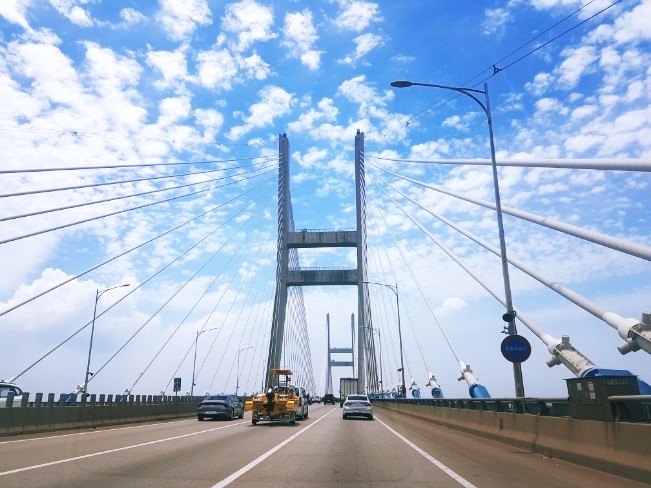  대천해수욕장 서해안고속도로 해물삼합 머드먹자골목 보령머드축제