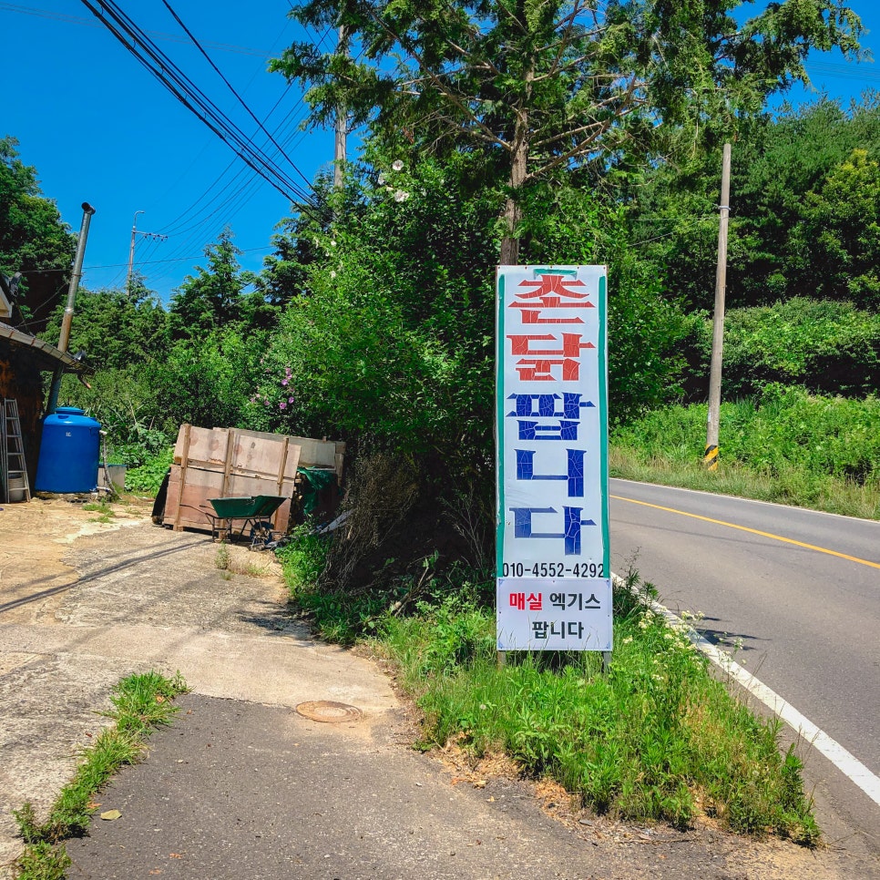 촌닭집 사진 2
