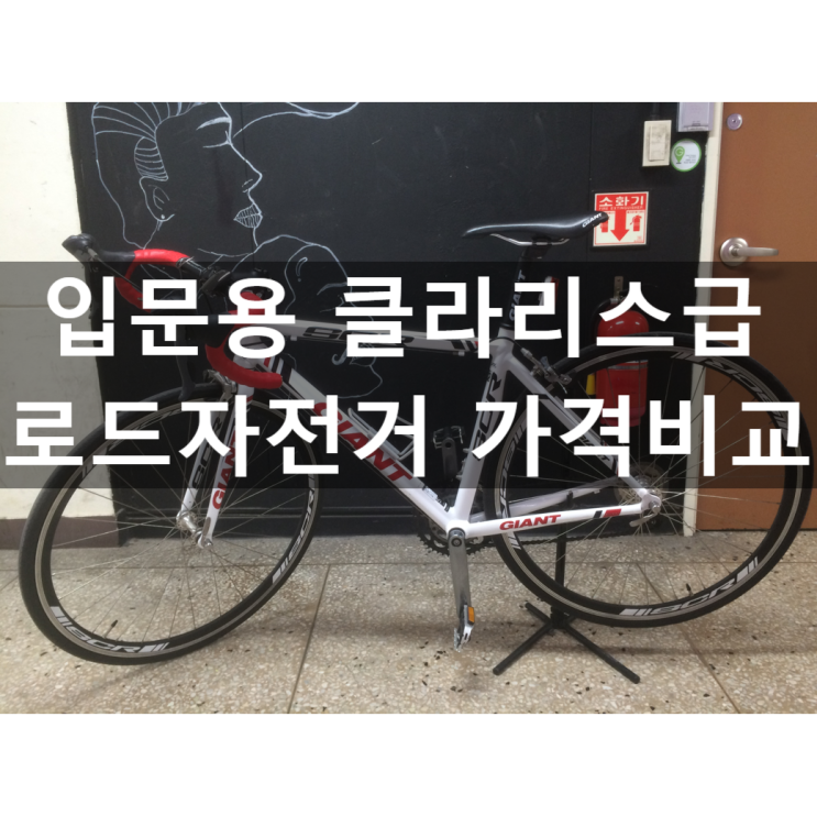  입문용 클라리스 로드자전거 가격 비교