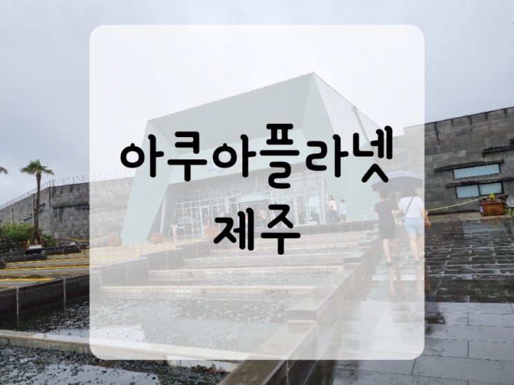  아쿠아플라넷 제주도 여행 아쿠아리움