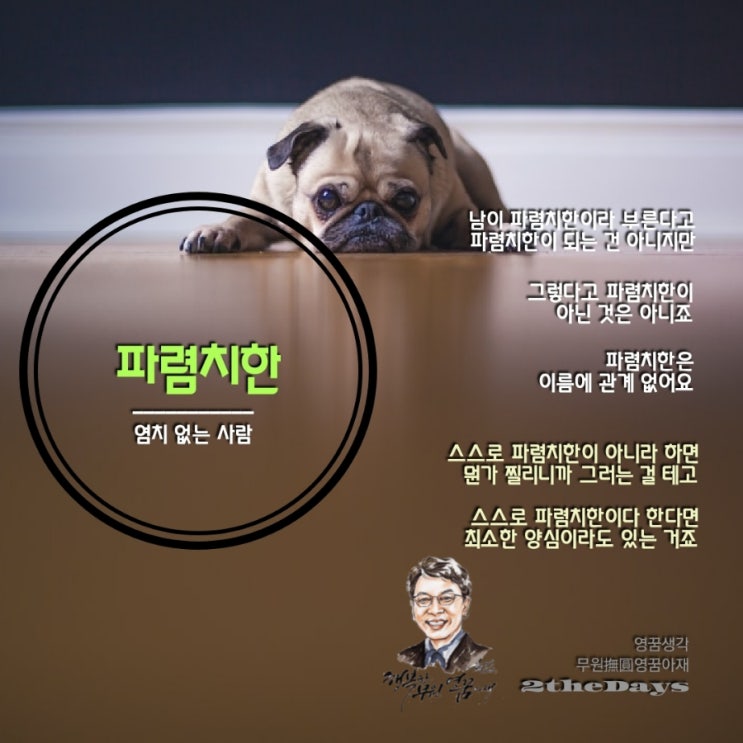  파렴치한 유감과 염치 어원