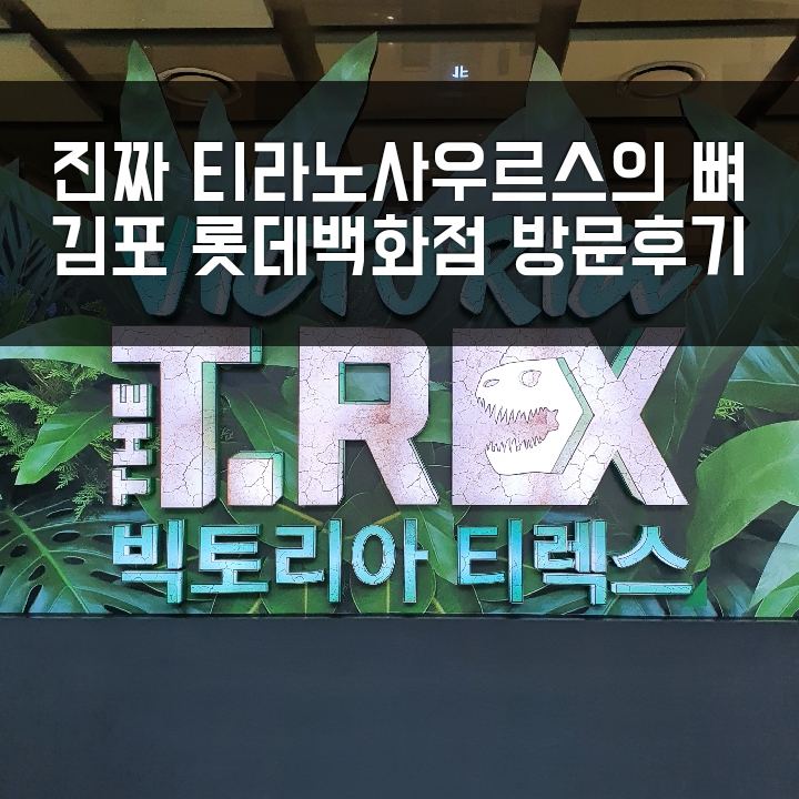  김포 롯데백화점 빅토리아 티렉스 실제 공룡뼈 전시, 방문후기 6600만년전 공룡화석.