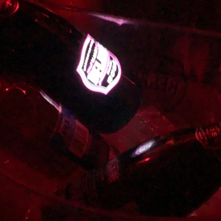  6월 네 번째 주간 일기