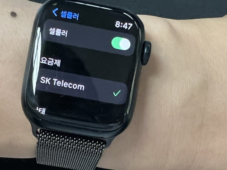  [Q&A] 애플워치 요금제( SKT 데이터나눠쓰기 되나?)