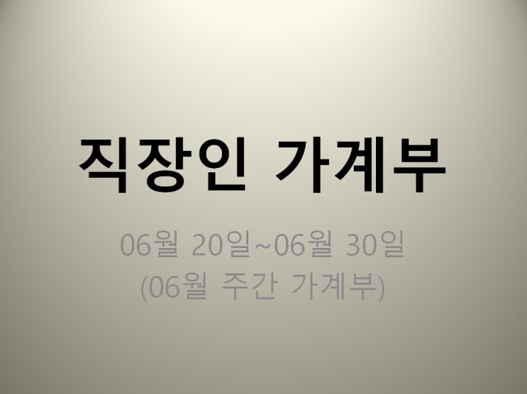  직장인 가계부 06월 20일~06월 30일 (지출 309171원)