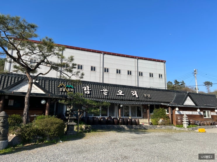 [용인맛집] 감골오리본점