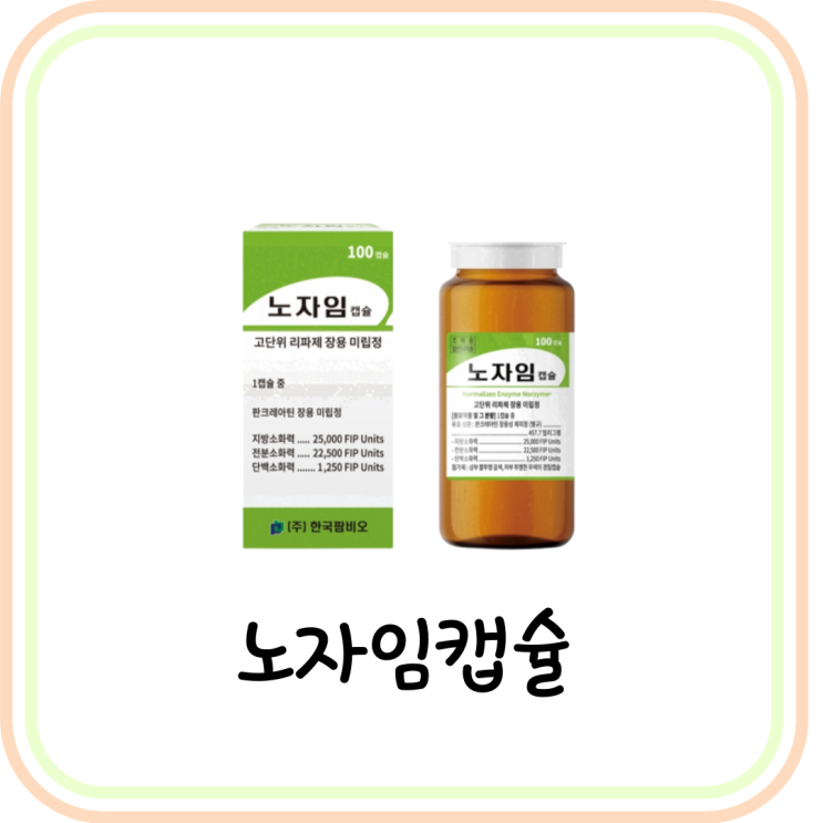  [소화불량 약] 노자임캡슐 성분/복용법 (ft. 판크레아틴)