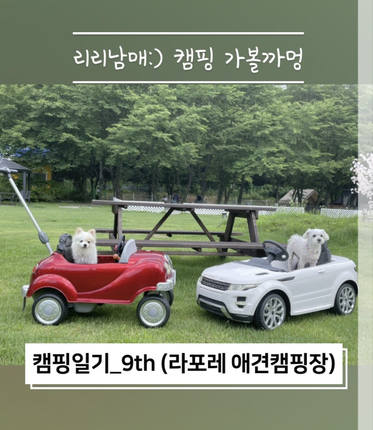 9번째 캠핑일기 라포레 애견 캠핑장 (feat. 몽이랑캠핑)