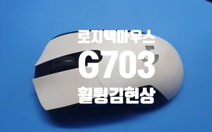  휠 튕김 현상과 더블클릭 현상이 나오는 로지텍 G703 마우스를 경기 파주에서 택배로 보내셨습니다